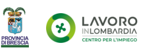 Logo Centri per l'Impiego - Provincia di Brescia